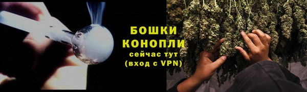ПСИЛОЦИБИНОВЫЕ ГРИБЫ Армянск