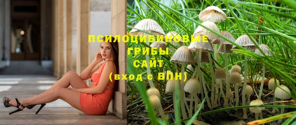 МДПВ Аркадак