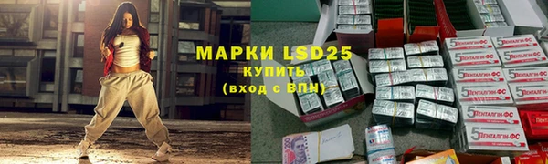 ПСИЛОЦИБИНОВЫЕ ГРИБЫ Армянск