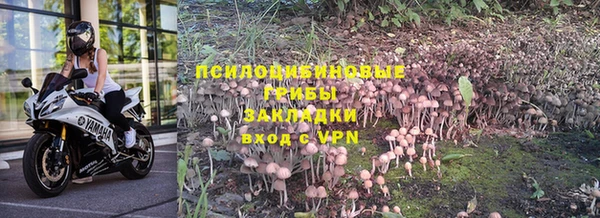 МДПВ Аркадак
